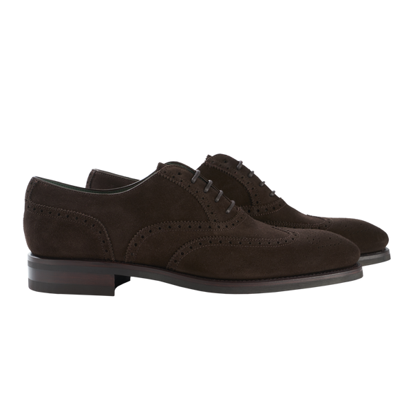 Carmina Wingtip Oxford in Dark Brown Suede